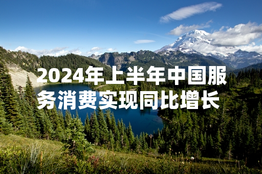 2024年上半年中国服务消费实现同比增长 国家统计局发布最新统计数据
