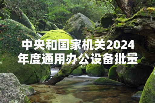 中央和国家机关2024年度通用办公设备批量集中采购项目完成招标