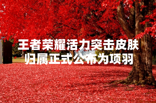 王者荣耀活力突击皮肤归属正式公布为项羽