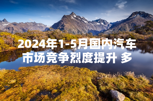 2024年1-5月国内汽车市场竞争烈度提升 多家车企调整产销价格策略