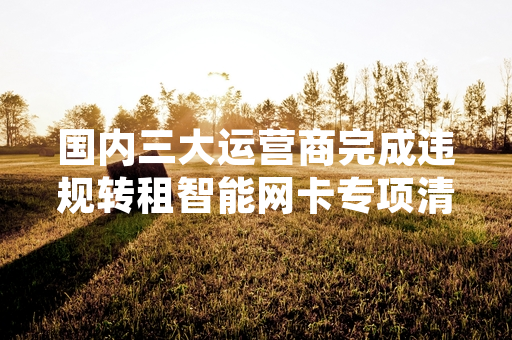 国内三大运营商完成违规转租智能网卡专项清理首批处置