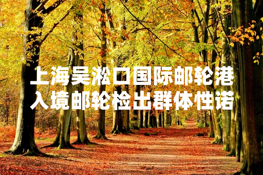 上海吴淞口国际邮轮港入境邮轮检出群体性诺如病毒感染 多部门已开展分级处置