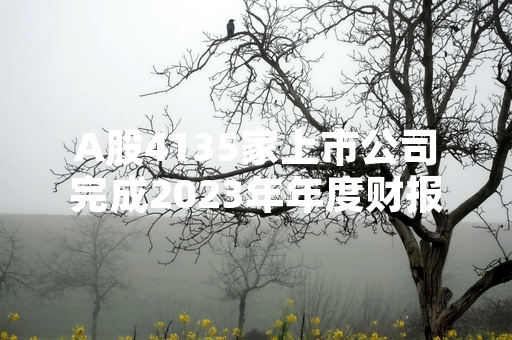 A股4135家上市公司完成2023年年度财报披露 37家未披露企业被立案调查