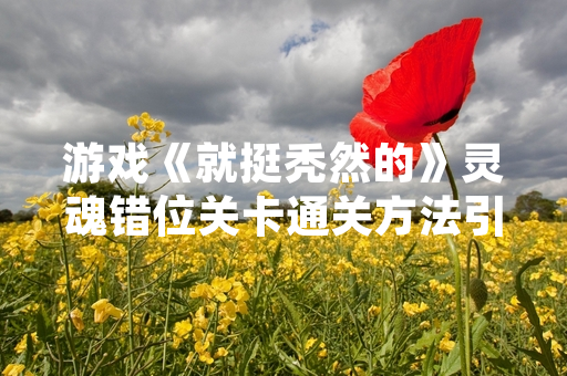 游戏《就挺秃然的》灵魂错位关卡通关方法引发玩家讨论