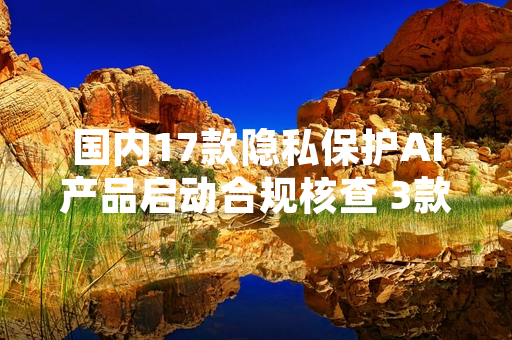 国内17款隐私保护AI产品启动合规核查 3款被要求限期整改