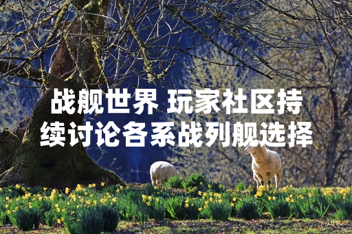 战舰世界 玩家社区持续讨论各系战列舰选择 游戏平衡性受关注