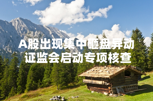 A股出现集中砸盘异动 证监会启动专项核查