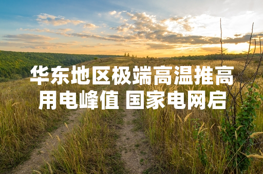 华东地区极端高温推高用电峰值 国家电网启动跨区电网调节保障供应