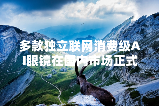 多款独立联网消费级AI眼镜在国内市场正式上市销售