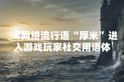 「网络流行语“厚米”进入游戏玩家社交用语体系」