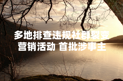 多地排查违规社群裂变营销活动 首批涉事主体处置工作已启动