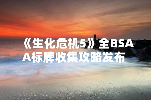 《生化危机5》全BSAA标牌收集攻略发布 卡普空更新游戏指南