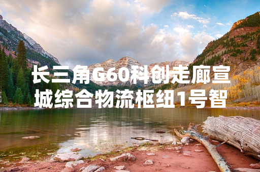 长三角G60科创走廊宣城综合物流枢纽1号智能立体仓库完成竣工验收并正式投入运营