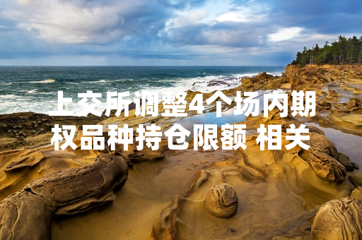 上交所调整4个场内期权品种持仓限额 相关规则2024年6月24日正式实施