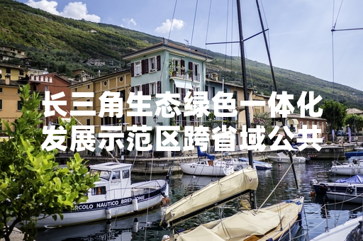 长三角生态绿色一体化发展示范区跨省域公共服务示范项目落地浙江嘉善