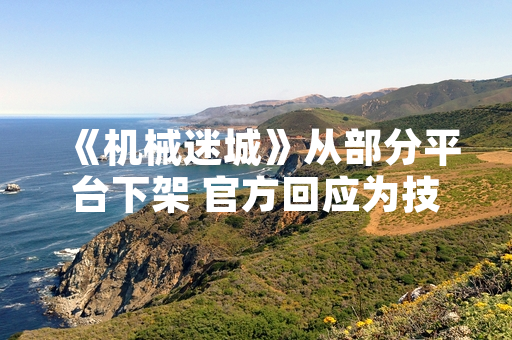 《机械迷城》从部分平台下架 官方回应为技术维护与内容更新