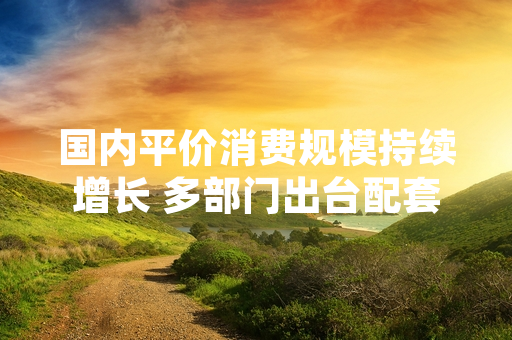 国内平价消费规模持续增长 多部门出台配套引导规范措施