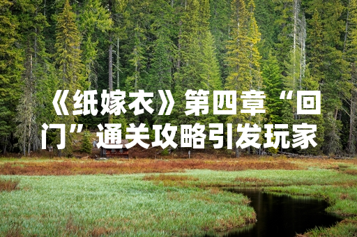 《纸嫁衣》第四章“回门”通关攻略引发玩家热议
